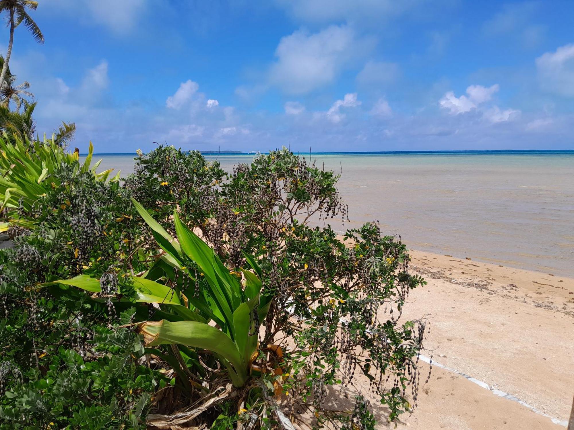 Mara'Ai Le Spot Tubuai Chambre Triple Taahueia Deluxe Sdb Privee Avec Piscine Mataura Екстер'єр фото