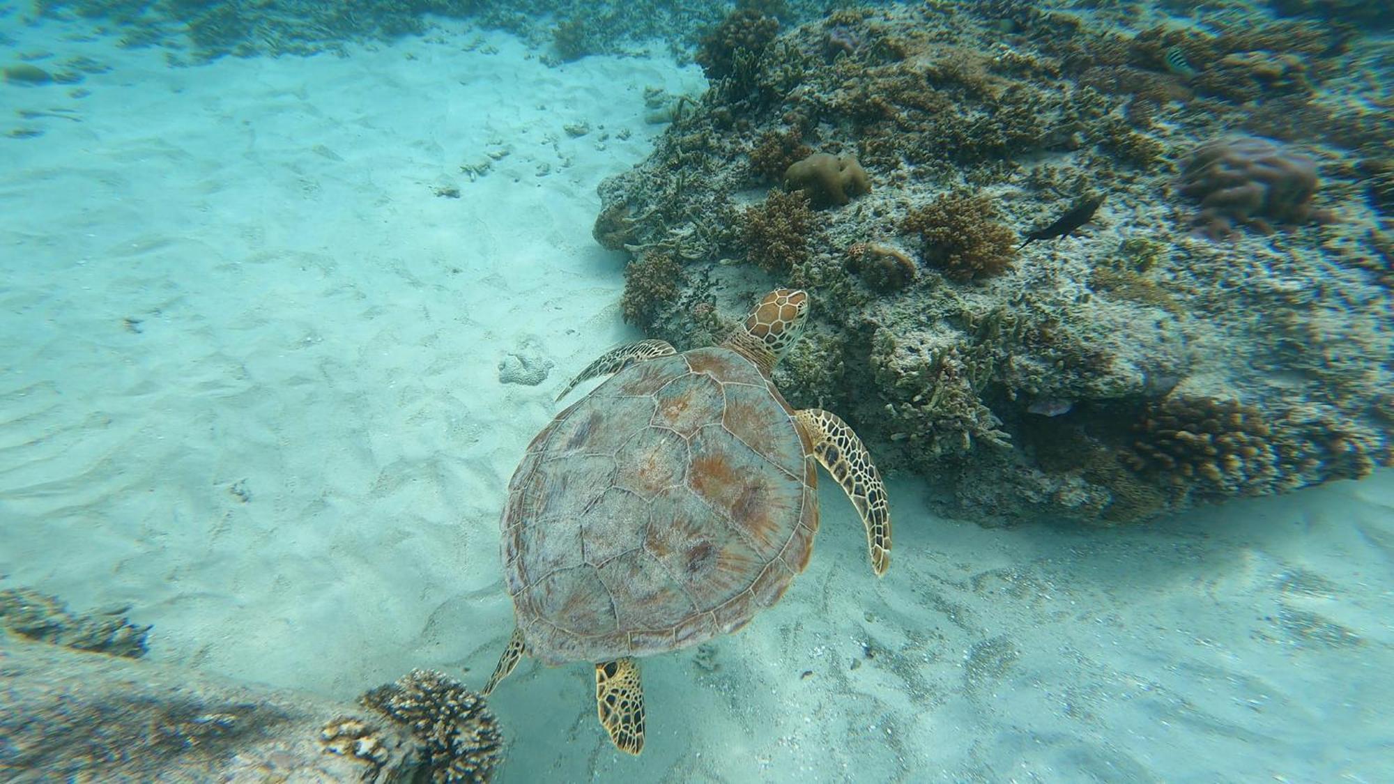 Mara'Ai Le Spot Tubuai Chambre Triple Taahueia Deluxe Sdb Privee Avec Piscine Mataura Екстер'єр фото